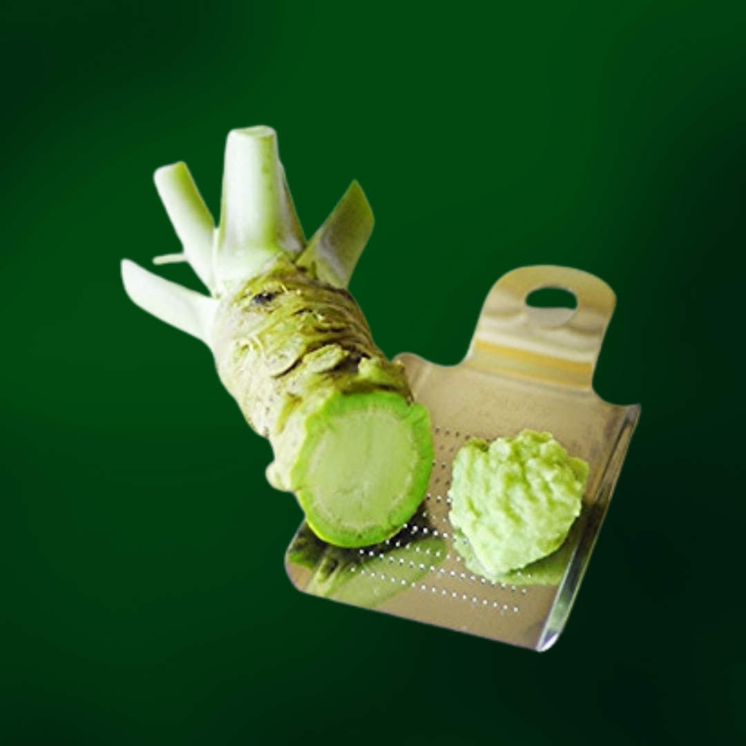 Wasabi Root (rhizome) for food — The Wasabi Store